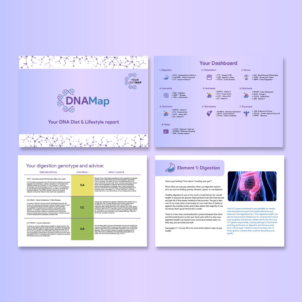 YourGutMap - DNAMap Genetic Test Consignment - Image 2